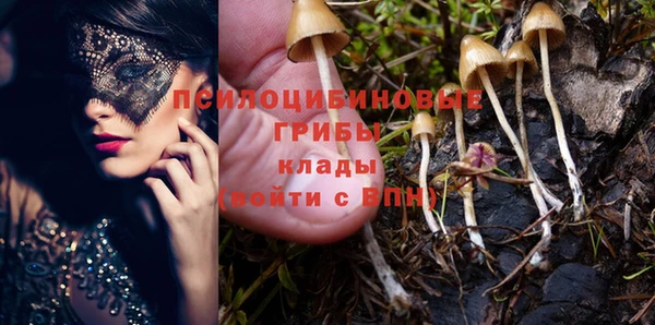 таблы Абинск