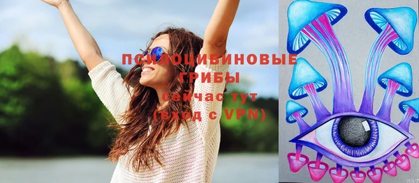 тгк Абаза