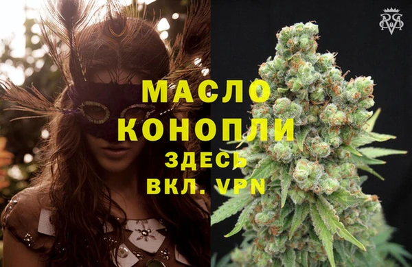тгк Абаза