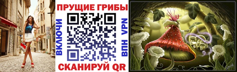 Галлюциногенные грибы Cubensis  Касли 
